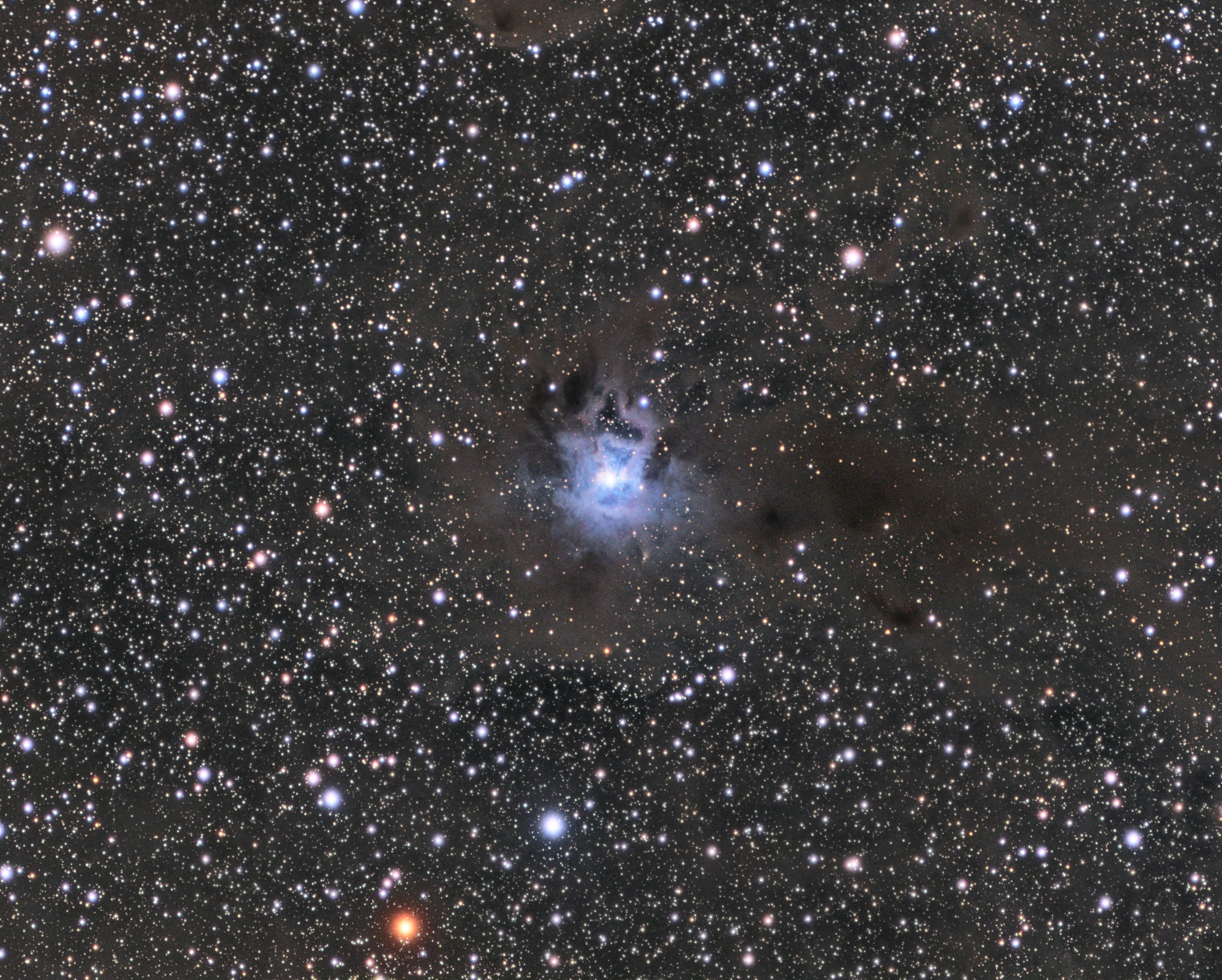 22 - NGC 7023, The Iris Nebula